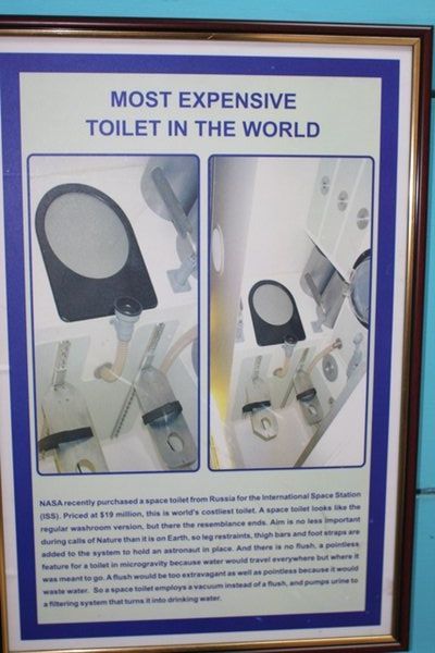 The most expensive toilet in the World
