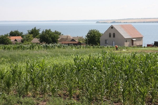 Farm houses and farm land