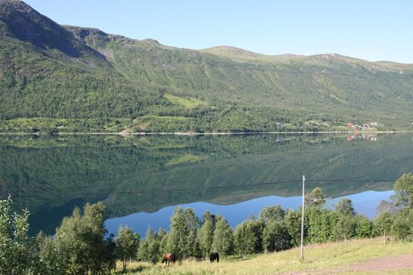 View of a fjord