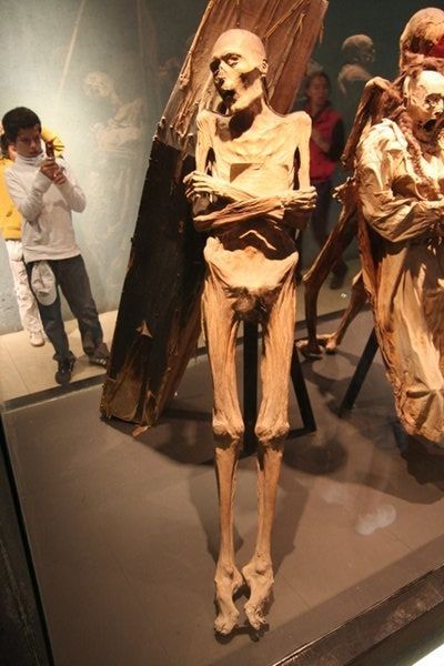 Mummy museum