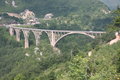 Tara bridge