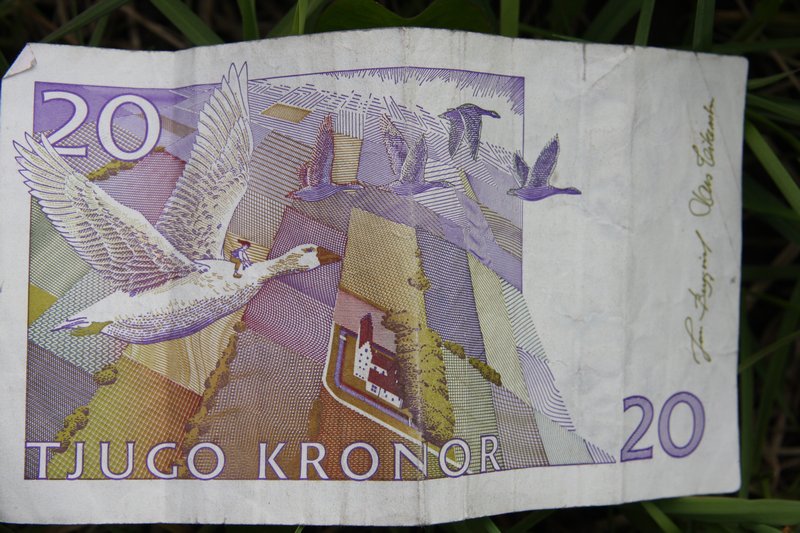 20 kronor banknote