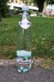 Bottle of Borjomi
