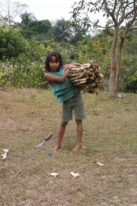 Girl carrying fire wood
