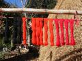 Dyed yarn being dried