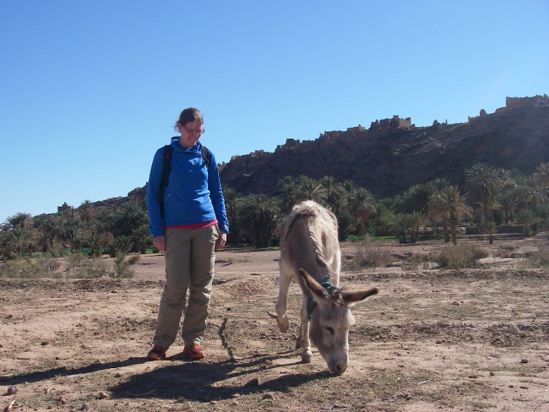 Making friends with a donkey 
