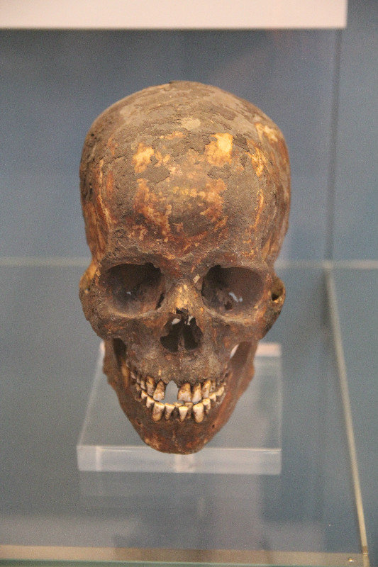 A skull at British Museum