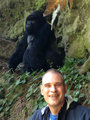 Ake and the silverback