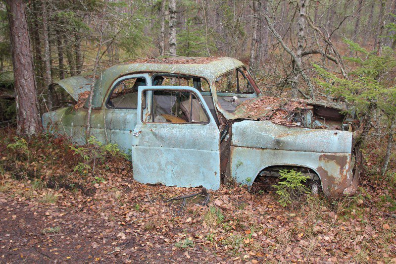 The cars slowly disintegrates and returns to nature