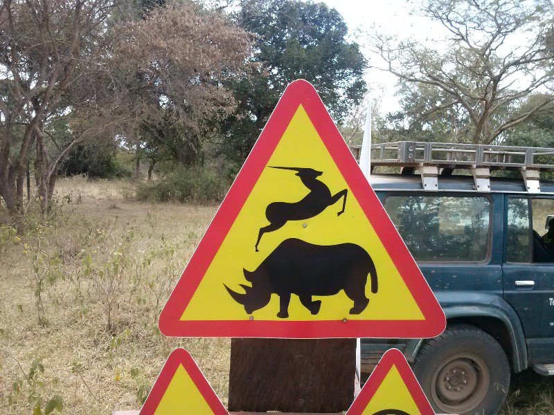 Warning for rhinos