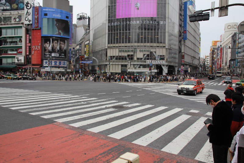 Shibuya Crossing - before people start walking