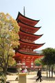 Five tired pagoda