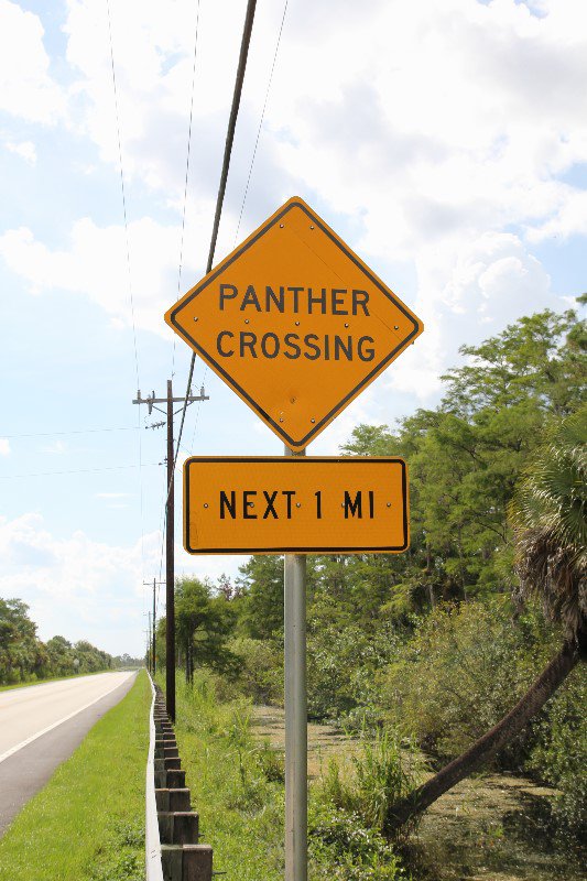Panther Crossing