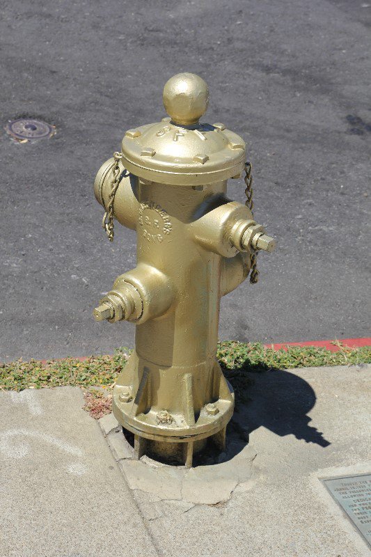 The Golden Fire Hydrant