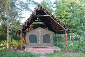 Tent lodge style accomodation