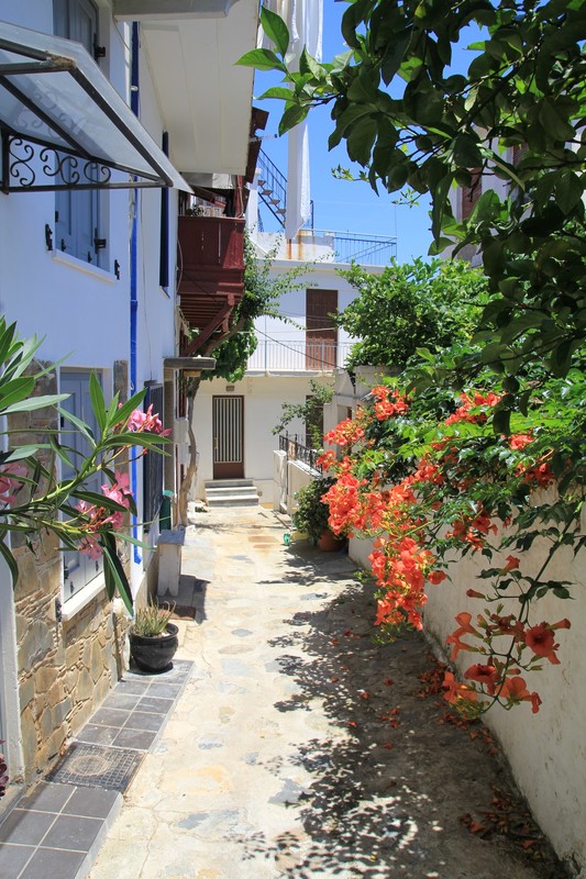 Skopelos Town was so beautiful