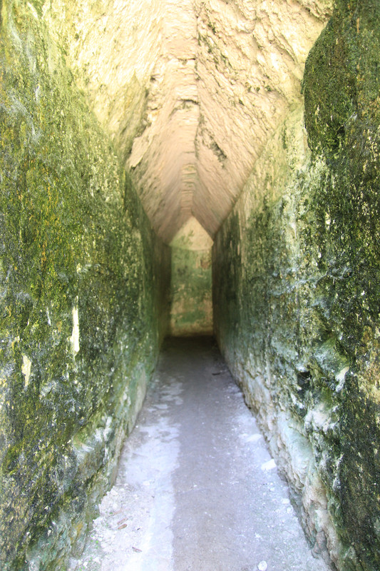 Corridor/tunnel