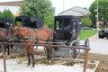 Amish buggy and horse