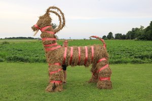 Goat made from hay