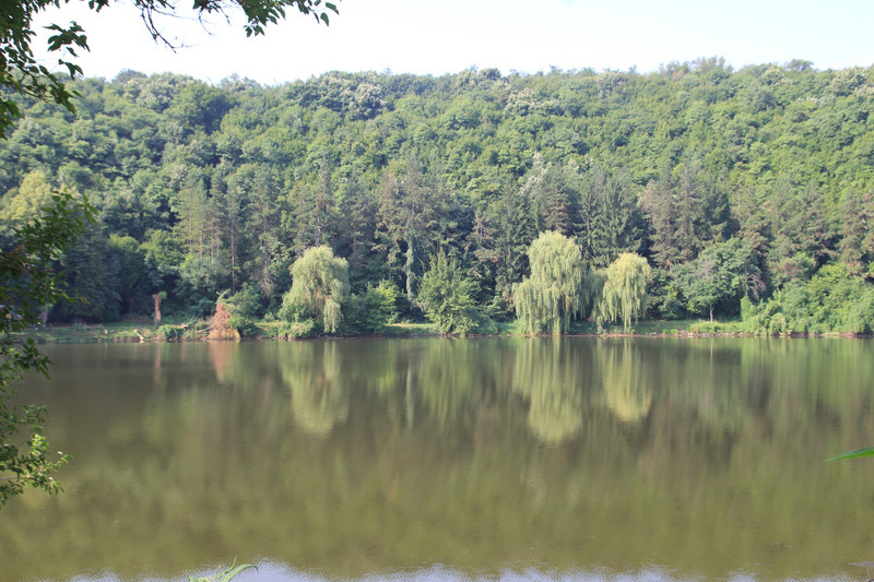 Lake near the Wine Museum