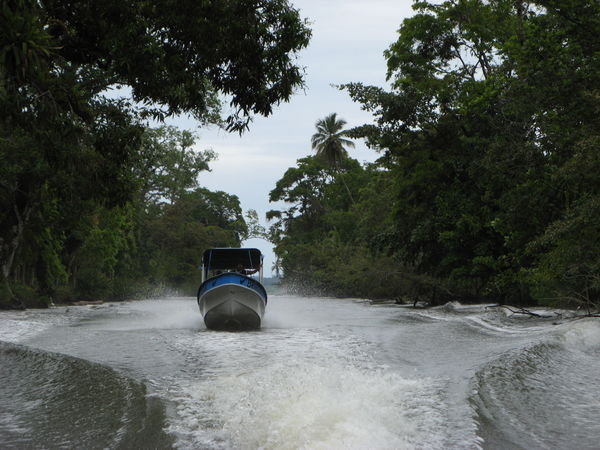 the boat ride to and from bocas