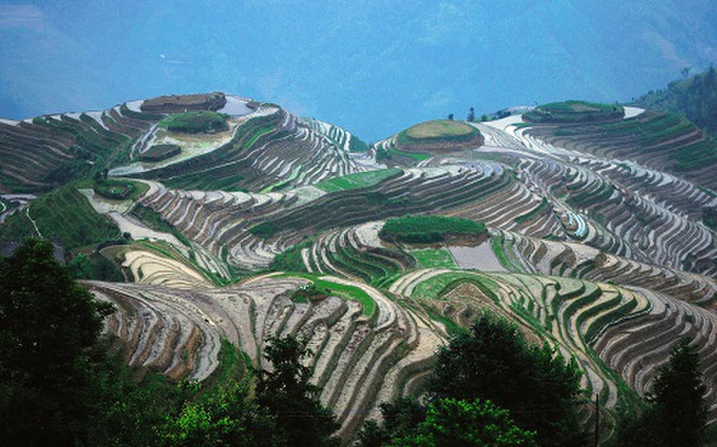 longsheng-rice-terraces