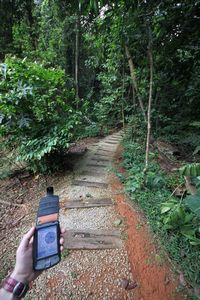 Geocaching in Bukit Nanas