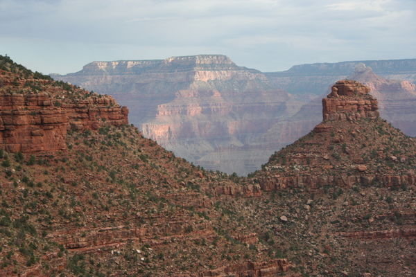 the canyon