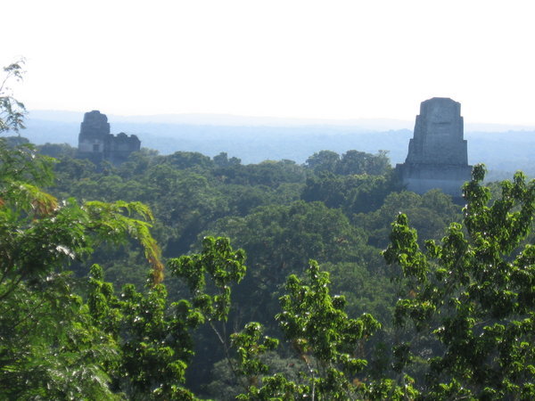 and even more Tikal
