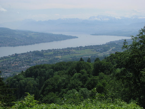 Zurich lake (from above)