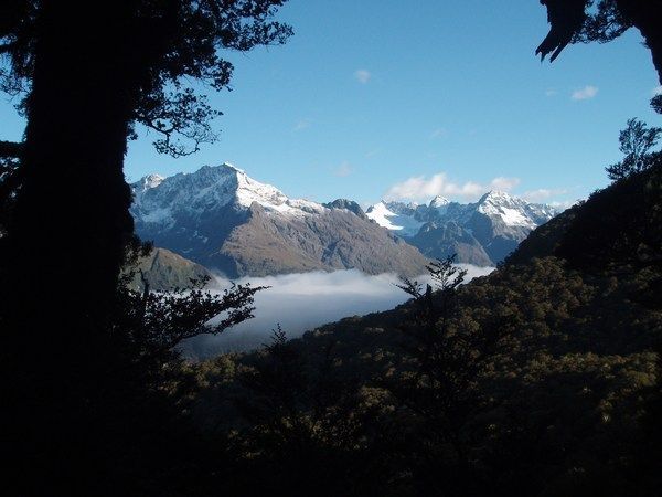 View accross Hollyford Valley