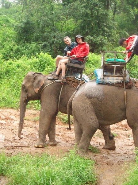 Elephant riding, Thailand