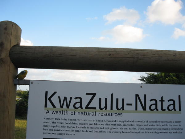 Yup that's right I am in KwaZulu-Natal