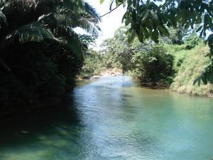 The Rainforest River