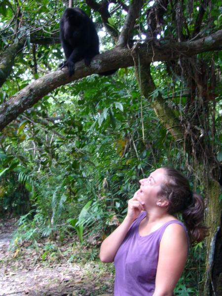 Me With My New Friend - Black Howler Monkey