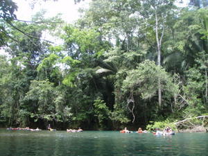 Cave Tubing in the Rainforest