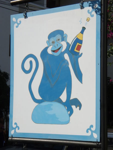 A Blue Monkey