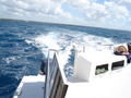 The View From The Back of the Catamaran