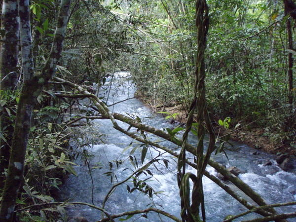 The River At The End of the Course