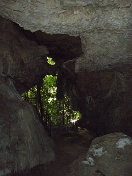 Through The Cave and Out To The Forest