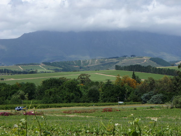 Winelands Below the Bouwland Mountains