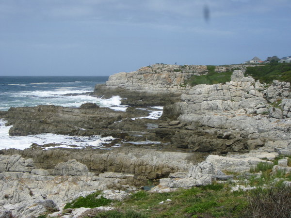 The Cliffs of Hermanus