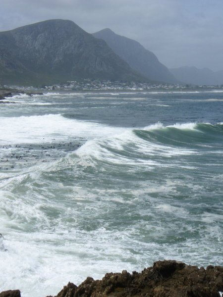 The Surf, The Mountains