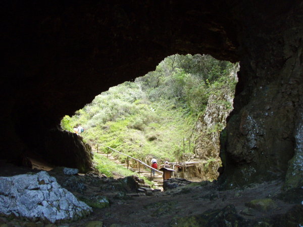 From Inside the Caves