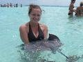 With a Stingray