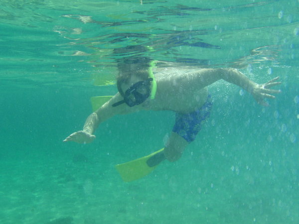 Chris Learns to Snorkel