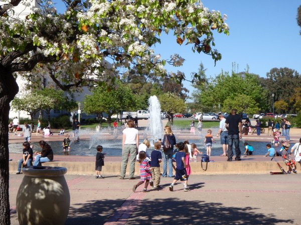 Fountain - Balboa Park