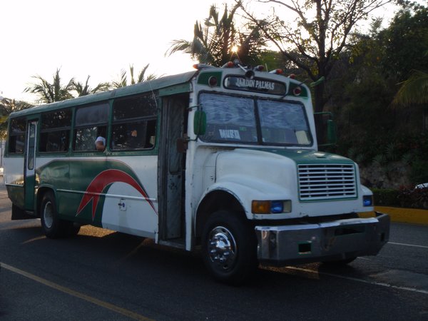 Acapulco Party Bus