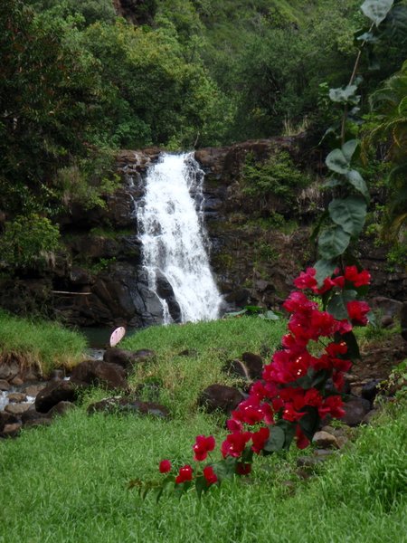 The falls in Waimea Valley