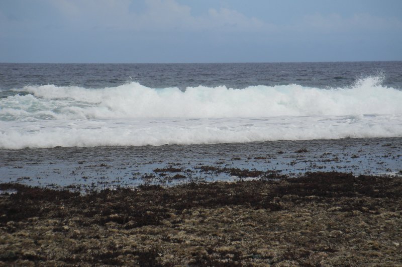Waves Crashing Onto the Reef